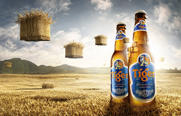 Tiêu chí quyết định đại lý phân phối bia Tiger giá rẻ ở Hà Nội uy tín?
